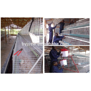 Chicken Transport Cages Chicken Equipment